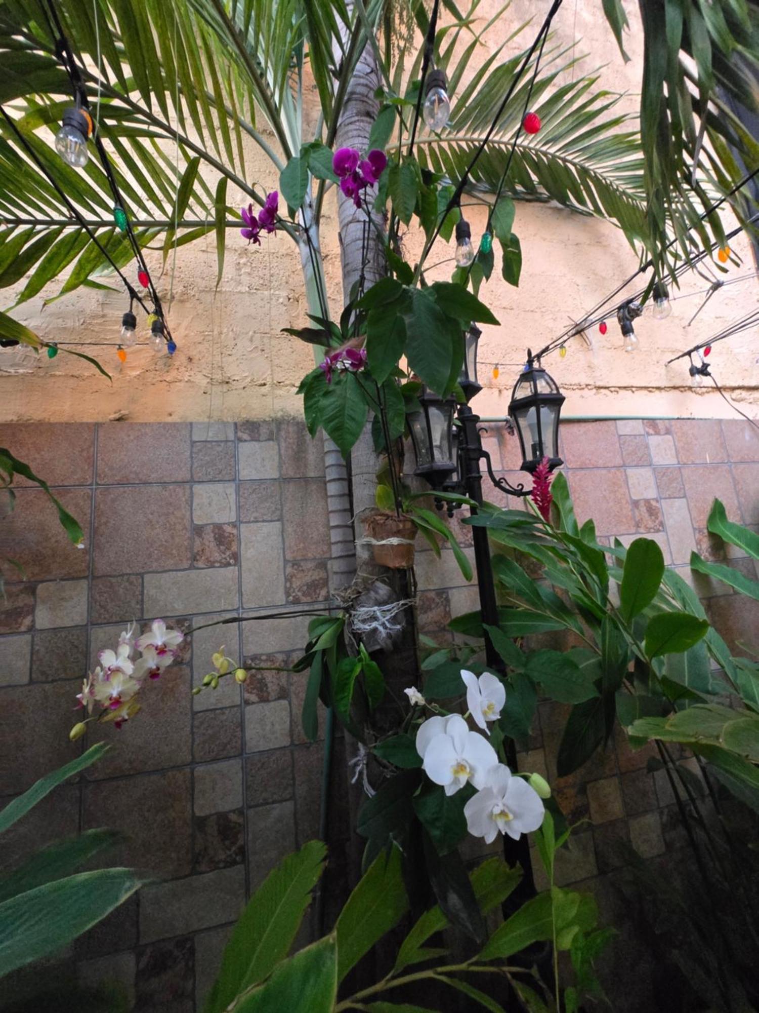 Hotel Posada Marcas Cancun Ngoại thất bức ảnh